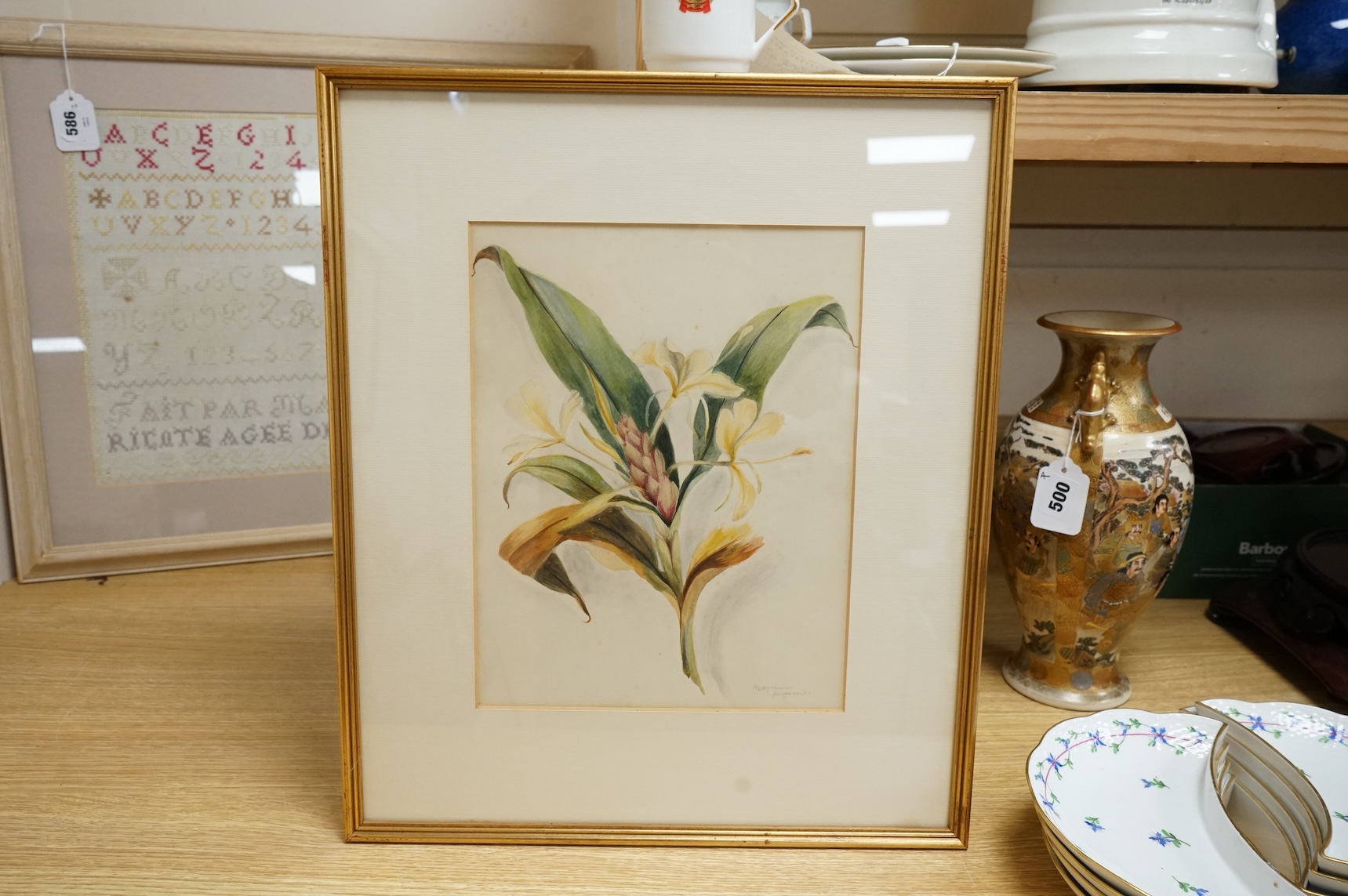 Late 19th / early 20th century school, set of eighteen watercolours, botanical studies, some with Latin pencil inscriptions, unsigned, 29 x 22cm